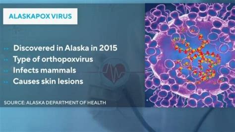 alaska borealpox virus.